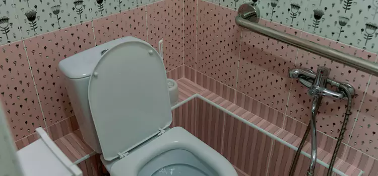Meeting Diverse Needs With Accessible Restroom Solutions in Suffolk, VA